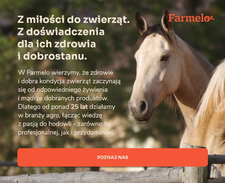 Przykładowy button strefa 2