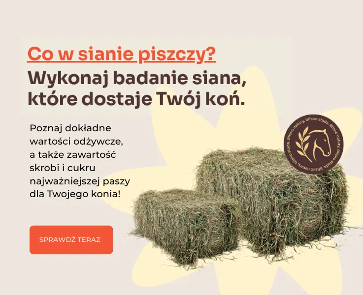 badanie siana