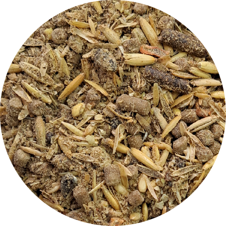 BIOFEED Horse & Pony Sensitive Alfalfa Free Musli dla koni i kuców wymagających - 20 kg