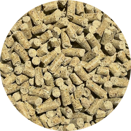 BIOFEED Horse & Pony Strong Bones Mieszanka Paszowa Wspierająca Kościec i Regenerację - 6kg