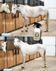 DOCTOR HORSE Suchy Szampon bez spłukiwania dla koni 500 ml