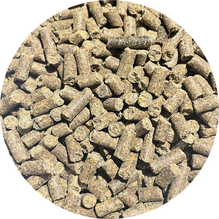 BIOFEED Horse & Pony Joints Care suplement na stawy dla koni - 900 g 