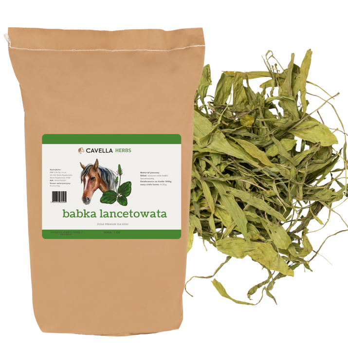 CAVELLA Zioła dla koni Babka Lancetowata 1kg