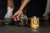 DOCTOR HORSE Mocne Kopyta Naturalny olej do kopyt 450 ml  
