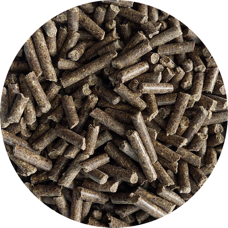 BIOFEED Horse & Pony Sensitive Pellets Grain Free dla koni i kuców z wrzodami, zaburzeniami metabolizmu  - 25 kg