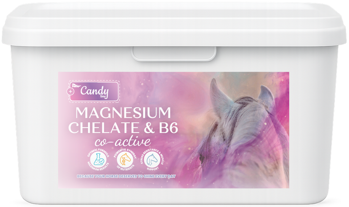BIOFEED Horse & Pony Candy Magnesium Chelate & B6 Co-Active wsparcie układy nerwowego, mięśniowego oraz metabolizmu dla koni - 1,5 kg