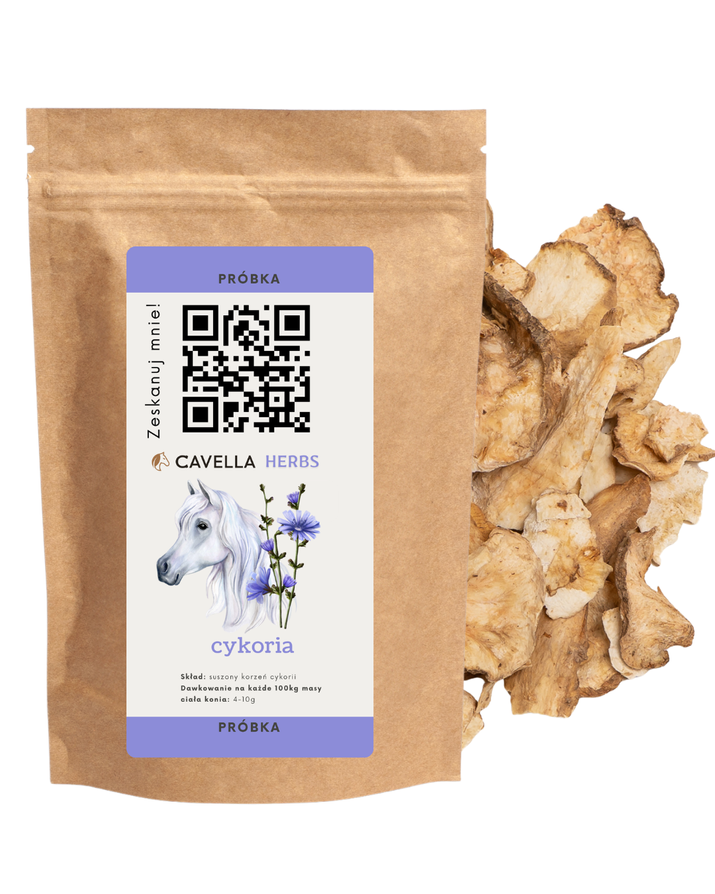 CAVELLA Cykoria Korzeń - 48g PRÓBKA