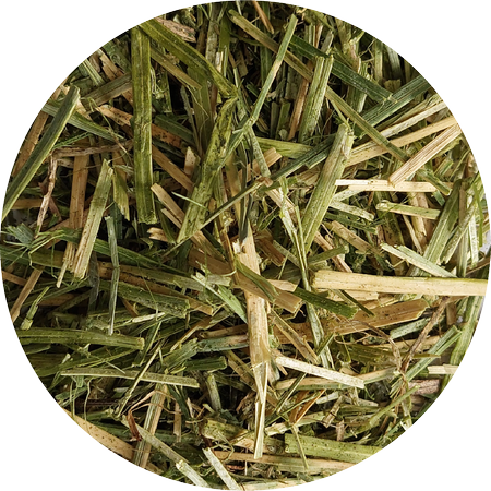 BIOFEED Horse & Pony Alfalfa with Canola Oil sieczka dla koni - 10 kg