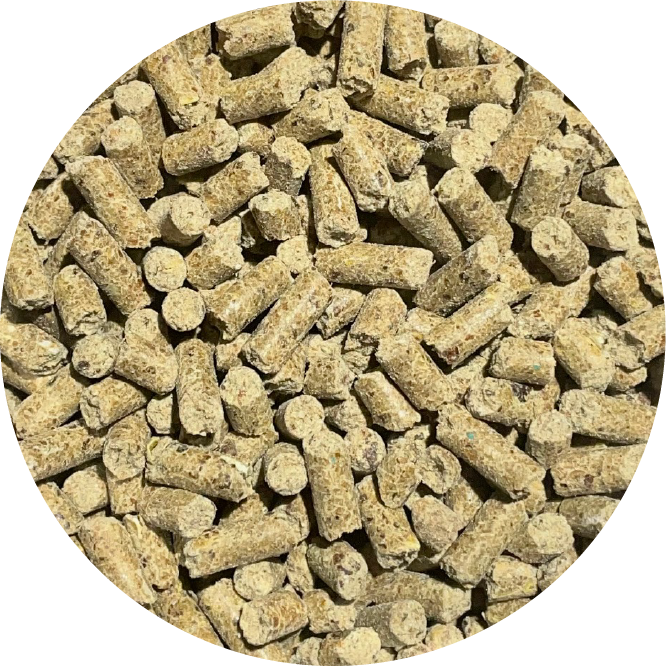 BIOFEED Horse & Pony Strong BonesWspierająca Kościec i Regenerację - 6kg