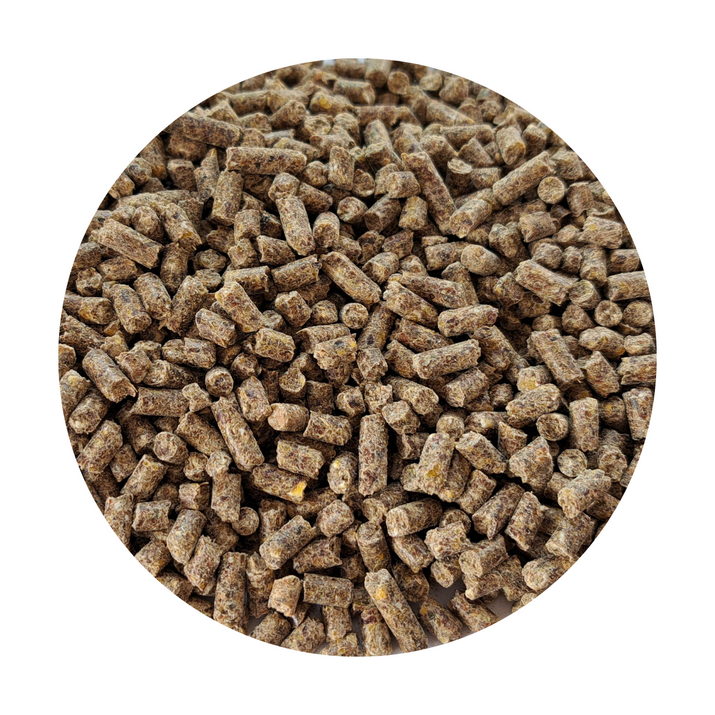 BIOFEED Horse & Pony Daily Comfort Breed mieszanka paszowa dla koni i kuców hodowlanych - 25kg