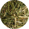 BIOFEED Horse & Pony Alfalfa with Canola Oil sieczka dla koni - 10 kg