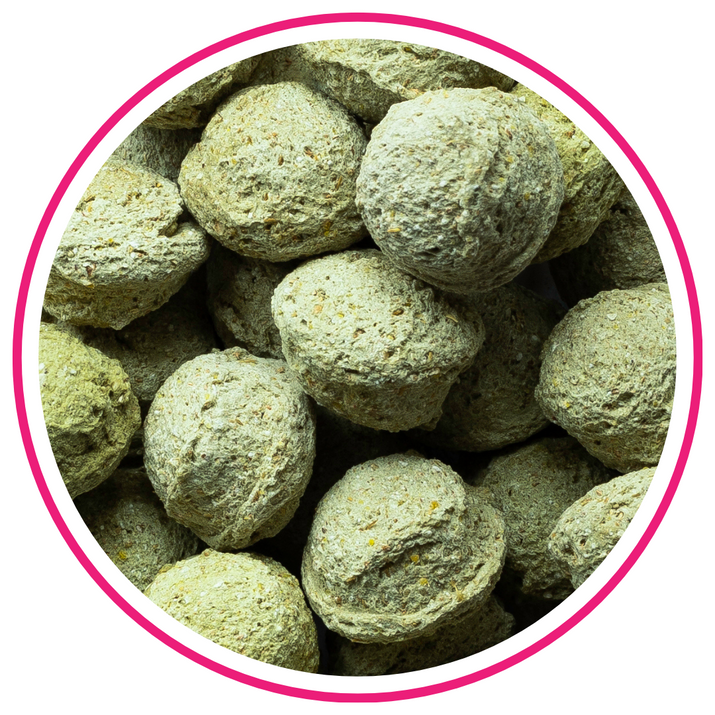 BIOFEED Horse & Pony Candy Cookies Apples with spirulina przeznaczone dla koni i kuców - 300 g