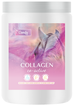 BIOFEED Horse & Pony Collagen Co-Active wsparcie żywieniowe aparatu ruchu - 900 g