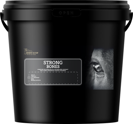 BIOFEED Horse & Pony Strong Bones Mieszanka Paszowa Wspierająca Kościec i Regenerację - 6kg