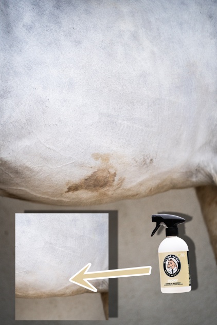 DOCTOR HORSE Suchy Szampon bez spłukiwania dla koni - 500 ml