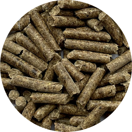 BIOFEED Horse & Pony Traditional Pellets dla koni i kuców w lekkim i średnim treningu - 25 kg