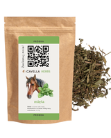 CAVELLA Mięta ziele -13g PRÓBKA