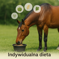 Indywidualna dieta dla konia
