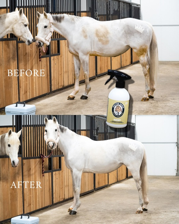 DOCTOR HORSE Suchy Szampon bez spłukiwania dla koni 500 ml