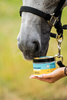 DOCTOR HORSE ParaSun Krem przeciwsłoneczny dla koni 450 g 
