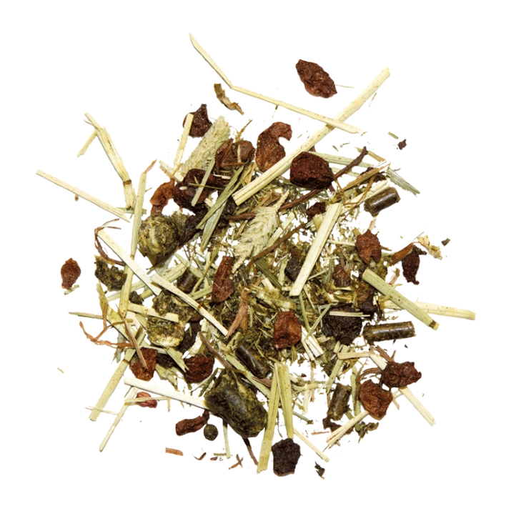 MARSTALL Gastro-Müsli bezzbożowa pasza dla koni wrzodowych i wrażliwych trawiennie - 20KG