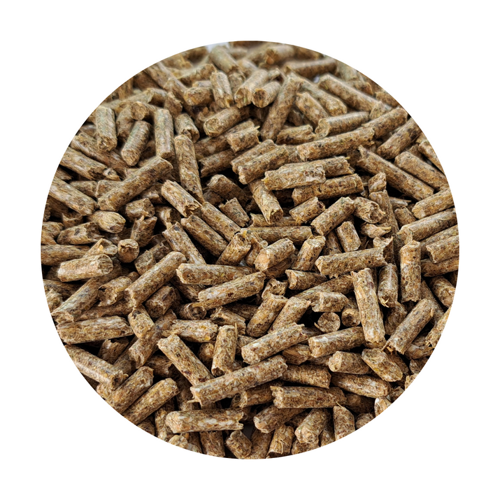 BIOFEED Horse & Pony Daily Comfort ESSENTIAL mieszanka dla koni lekko i średnio pracujących - 25 kg