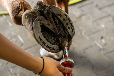 DOCTOR HORSE Mocne Kopyta Naturalny olej do kopyt 450 ml  