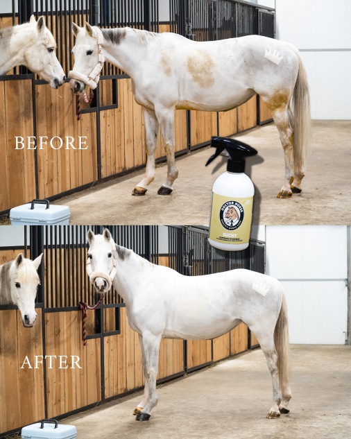 DOCTOR HORSE Suchy Szampon bez spłukiwania dla koni - 500 ml