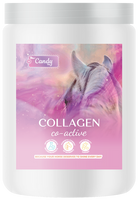 BIOFEED Horse & Pony Collagen Co-Active wsparcie żywieniowe aparatu ruchu - 900 g