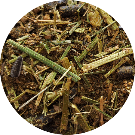 BIOFEED Horse & Pony Active Grain Free Musli mieszanka paszowa premium dla koni sportowych - 20kg