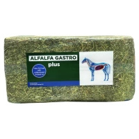EGGERSMANN Sieczka ALFALFA Gastro PLUS- Lucerna wzbogacona olejem lnianym dla koni