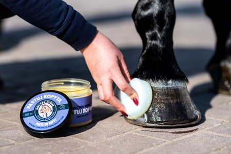 DOCTOR HORSE Pastuj Kopyta dla koni - 500 ml