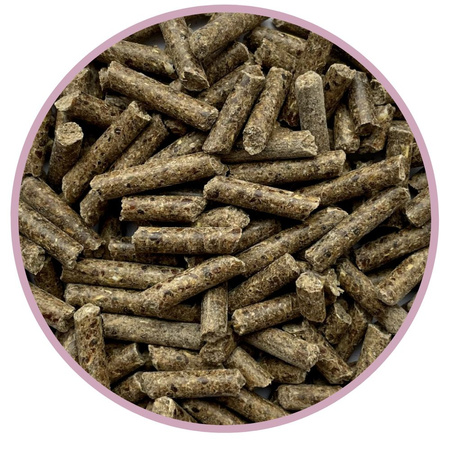 BIOFEED Horse & Pony Candy Pellet Shiny Coat dla koni i kuców korzystnie wpływający na jakość i funkcje kopyt i skóry - 25KG