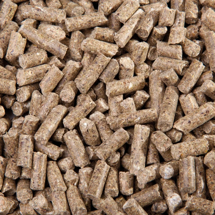 EGGERSMANN Derma Vital Cubes opracowana specjalnie dla koni z problemami skórnymi takimi jak egzema letnia - 25kg