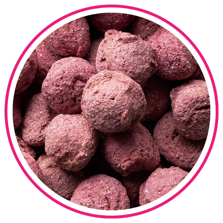 BIOFEED Horse & Pony Candy Cookies Raspberry & Strawberry with beetroot przeznaczone dla koni i kuców - 300 g