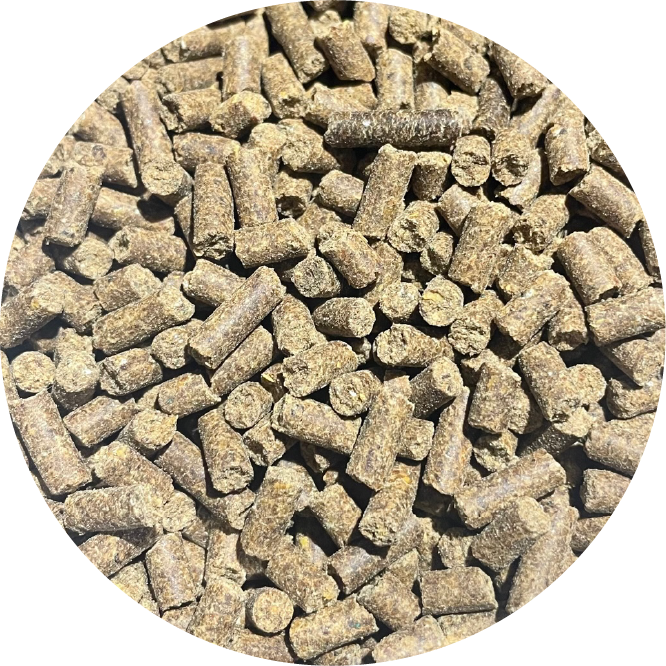 BIOFEED Horse & Pony Joints Care suplement na stawy dla koni - 900 g 