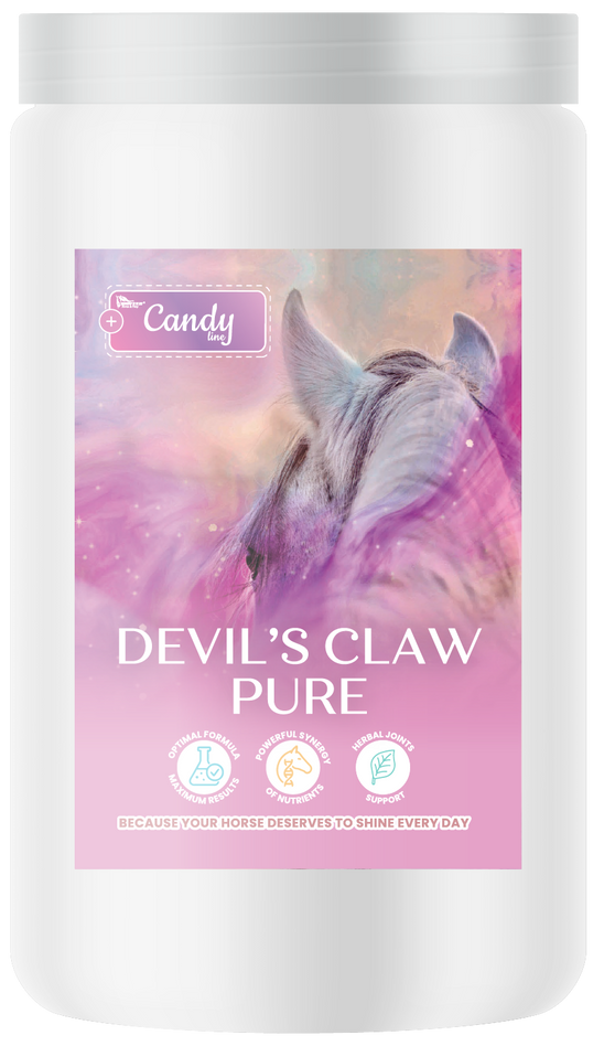 BIOFEED Horse & Pony Devil’s Claw Pure naturalny ziołowy preparat wspierający aparat ruchu koni - 900 g